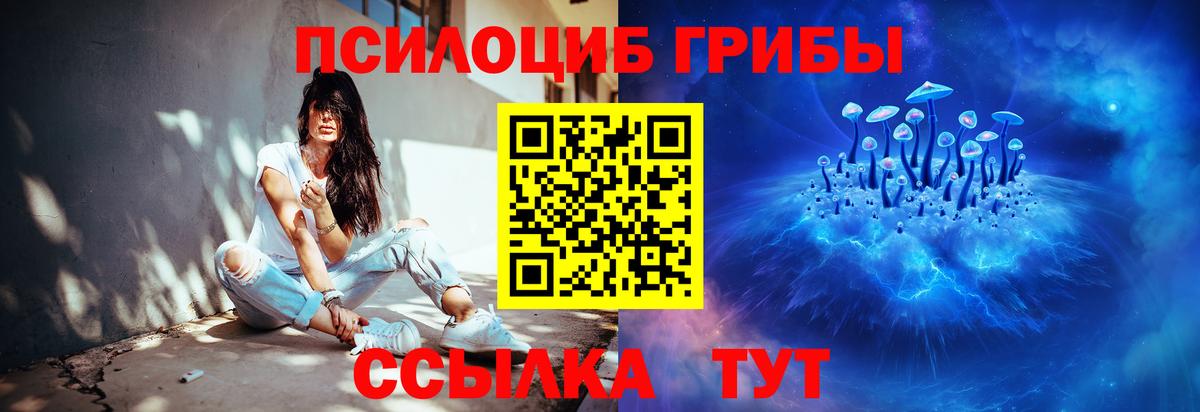 Ступино  Псилоцибиновые грибы Psilocybe  купить   Галлюциногенные грибы Cubensis  Вход с VPN 