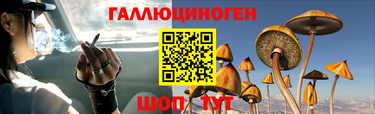 Псилоцибиновые грибы мухоморы Ступино