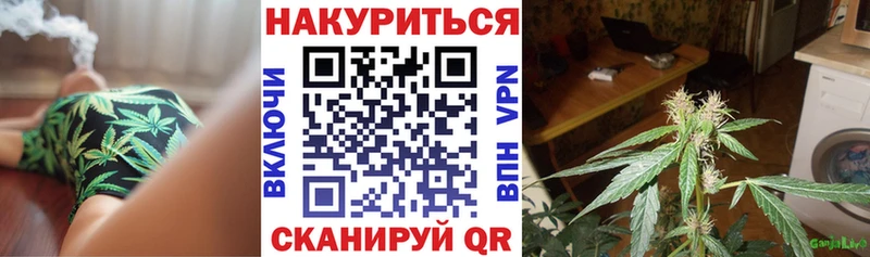 Канабис Bruce Banner Ступино